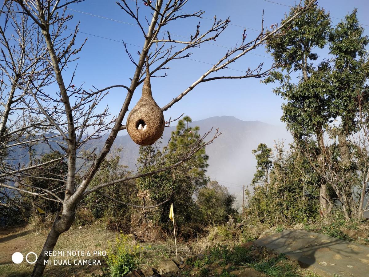 In Apple Estate Kanatal - Himalayan View Resort With Courteous Staff ภายนอก รูปภาพ