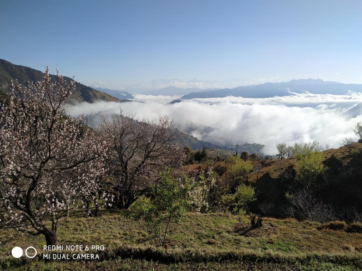 In Apple Estate Kanatal - Himalayan View Resort With Courteous Staff ภายนอก รูปภาพ