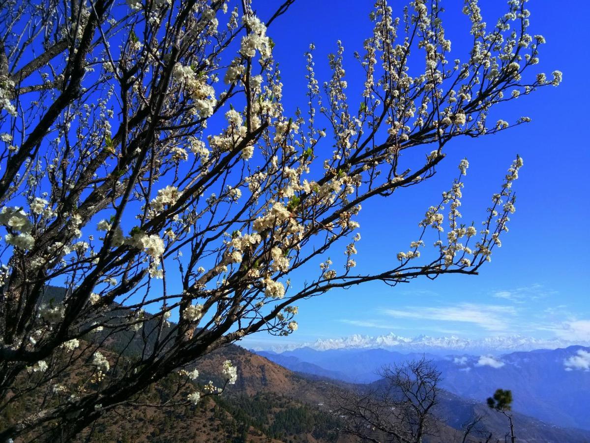 In Apple Estate Kanatal - Himalayan View Resort With Courteous Staff ภายนอก รูปภาพ