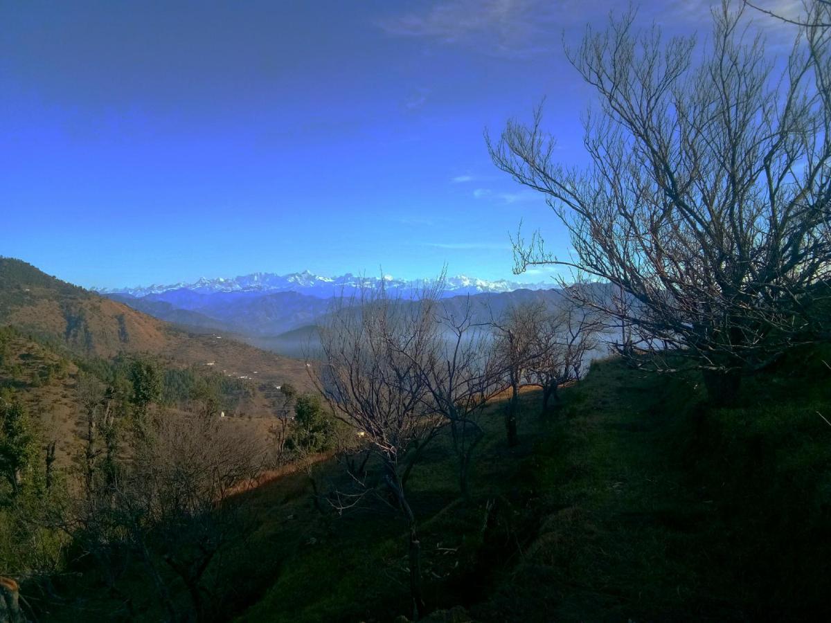 In Apple Estate Kanatal - Himalayan View Resort With Courteous Staff ภายนอก รูปภาพ